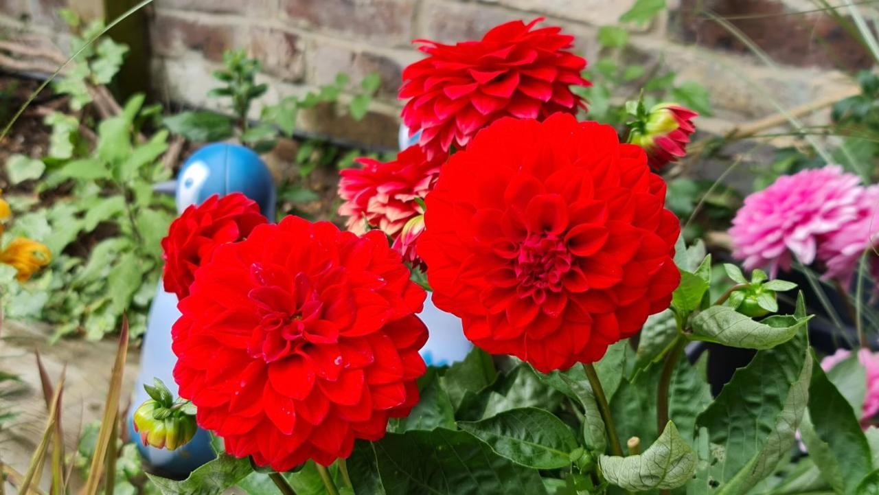 Cottage Grove Homestay Rooms Portsmouth Dış mekan fotoğraf